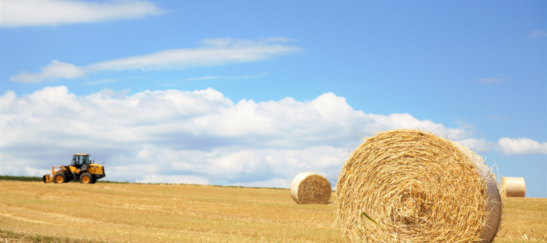 深圳市重點農(nóng)業(yè)龍頭企業(yè)認定與監(jiān)測  管理辦法